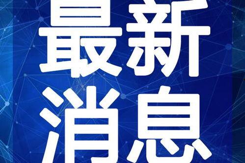 小胖夫妇事件爆料最新视频,惊人真相引发热议